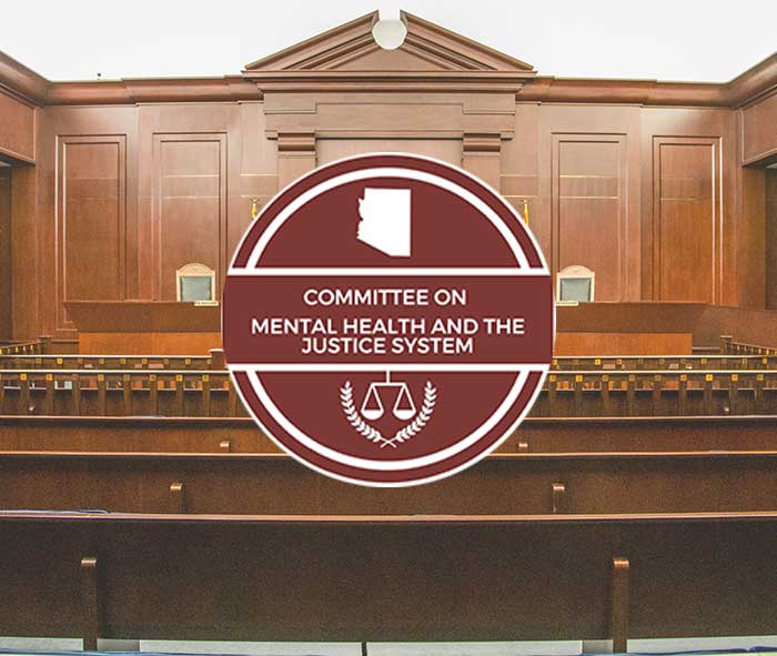 Arizona Superior Court Committee on Mental Health and the Justice System Logo